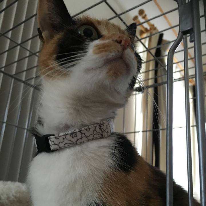 5f251c4b 2268 4131 ad56 d4550bcac1ae