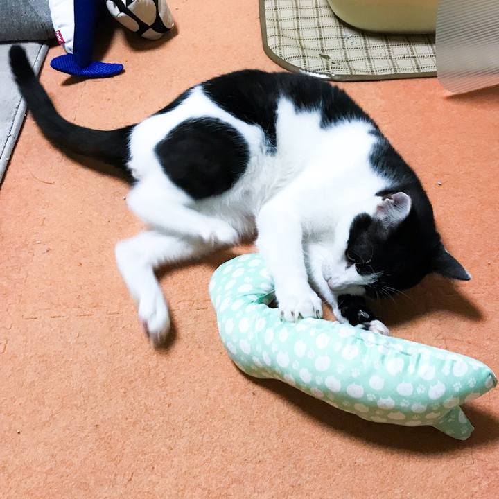 5f262e67 a45e 4260 b77f f02b780cfe05