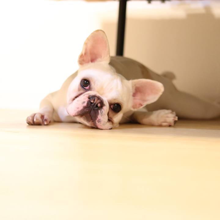 5f26445c 270e 4afd baec 250f060d1e59