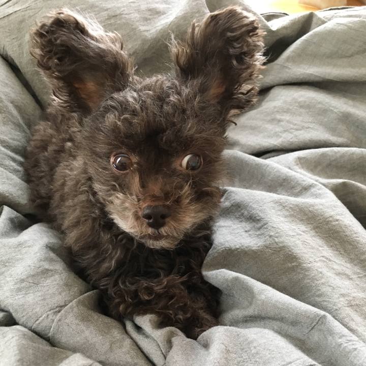 5f269286 322b 45a4 9d9f 3bc3bab147ae