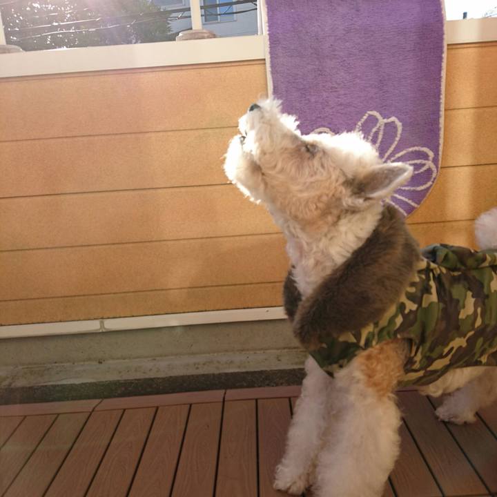 5f2696be 88d1 4235 8618 7258755642ac