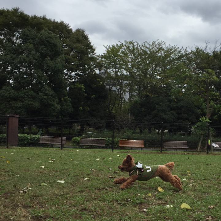 5f277162 3734 4edd 9937 f5ea20650ab4