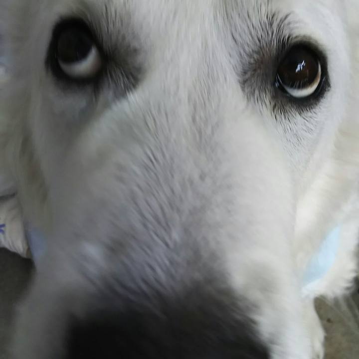 5f27b650 4f3c 4015 baf6 c3a6895a0c23