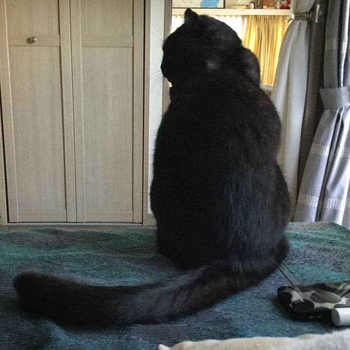 5f27dc17 965e 4e76 b60d 06d84bf07f62