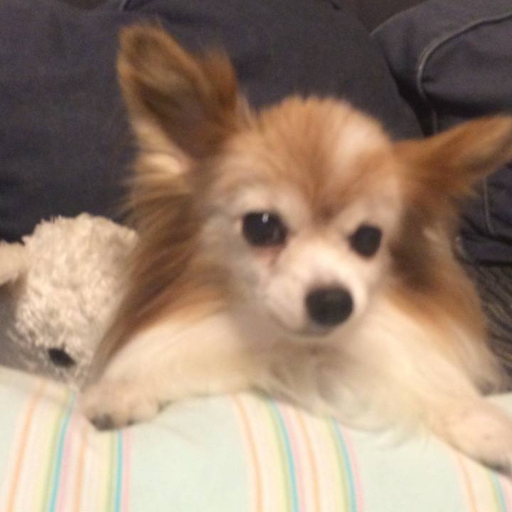 5f289287 cd41 41b3 9ebc 756c861240ae