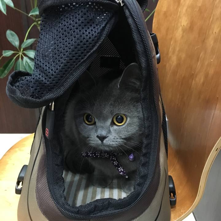 5f289ceb 2778 4326 944b 74fcca64441b