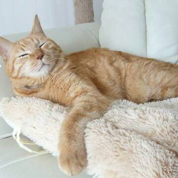 5f28b66c bb8c 4a62 9544 e2a073cd36fc