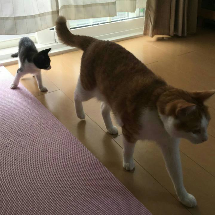 5f28cc5b cf42 4a8a ad52 75506e17ff20