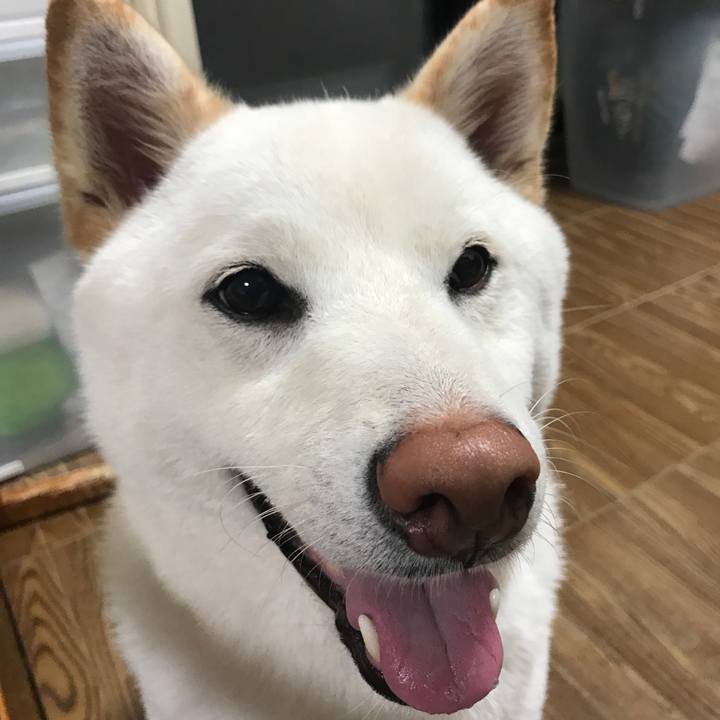 5f28d4a8 cd7b 4fd0 819c 627920bd58a9