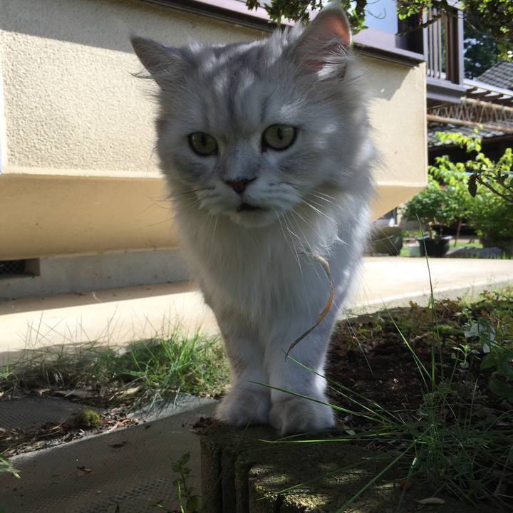 5f28d9f7 8e2b 4dbb ba6c 0bdc8a3d981e