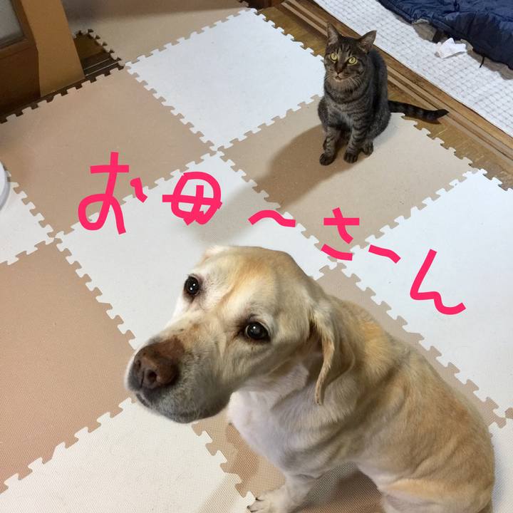 5f290d6e 6920 4d28 9bf6 d86718e6c703