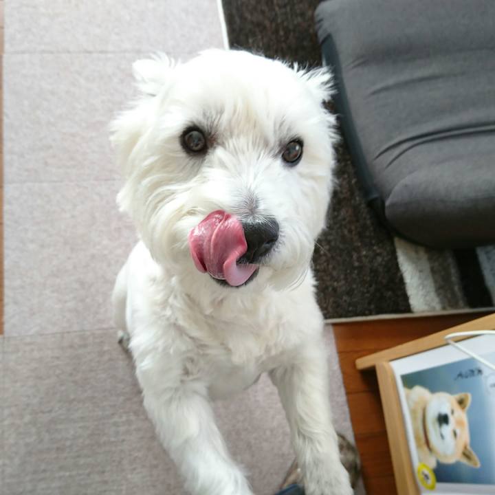 5f2958e4 d615 4fc7 a076 b506652a9511