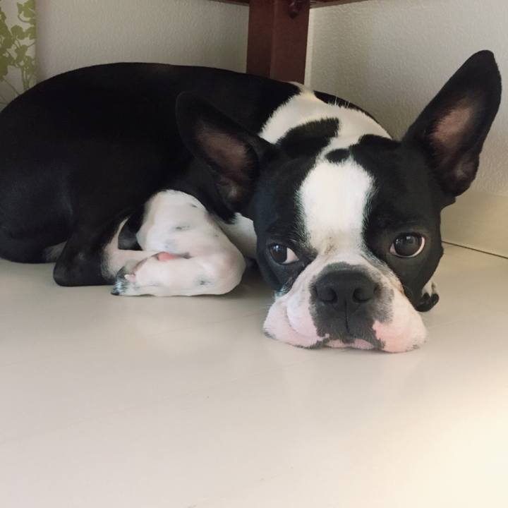 5f2988b3 c00c 4d83 b846 a089a16be39c