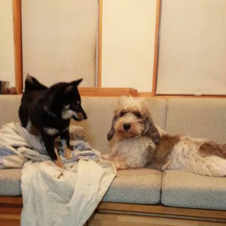 5f29ee84 5425 44db 8f5a bde97c09de45