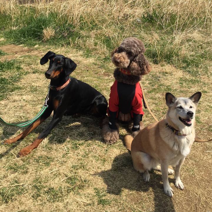 5f2a4803 f90e 44ca ac1c a195930d0c15