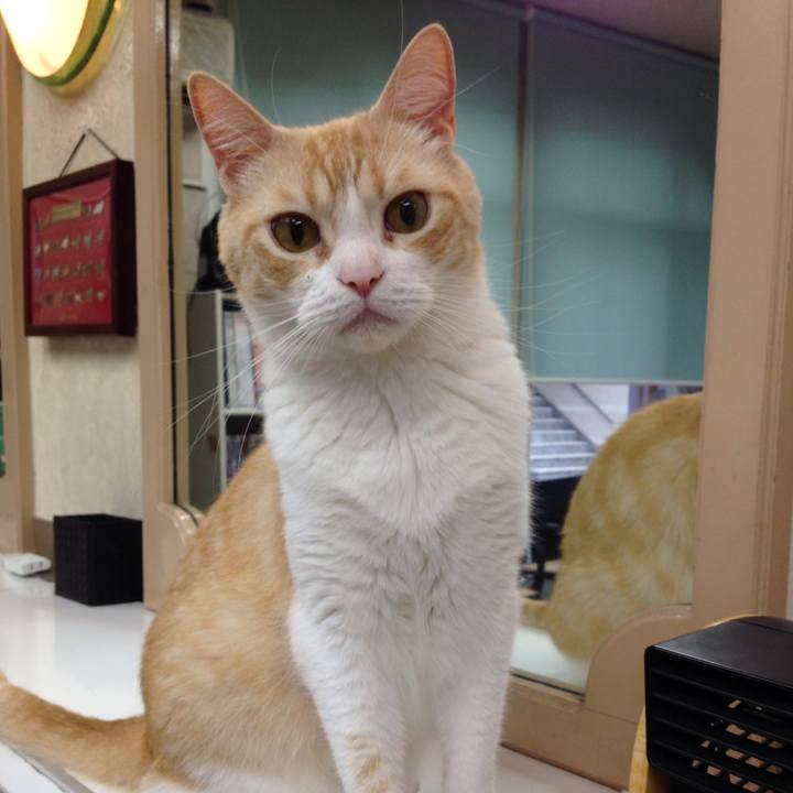 5f2a5b67 a54b 4c02 b2c5 9d990ef9f33f