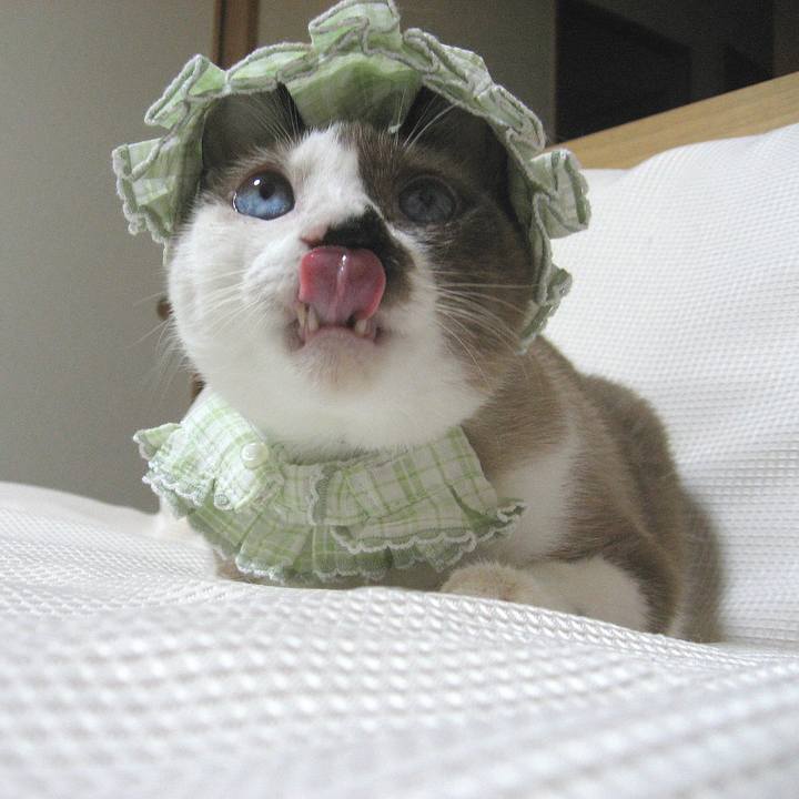 5f2ae97c 6a19 4be7 8ac0 9e24b162fb04