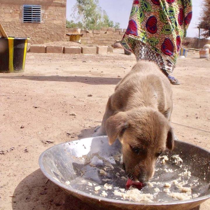 5f2b9ae1 d5b6 471f a0a2 228fdd4decc2