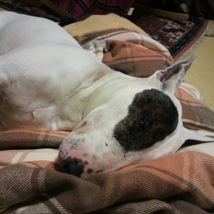 5f2bf66c d9c9 4196 ac43 c19d0af9919e