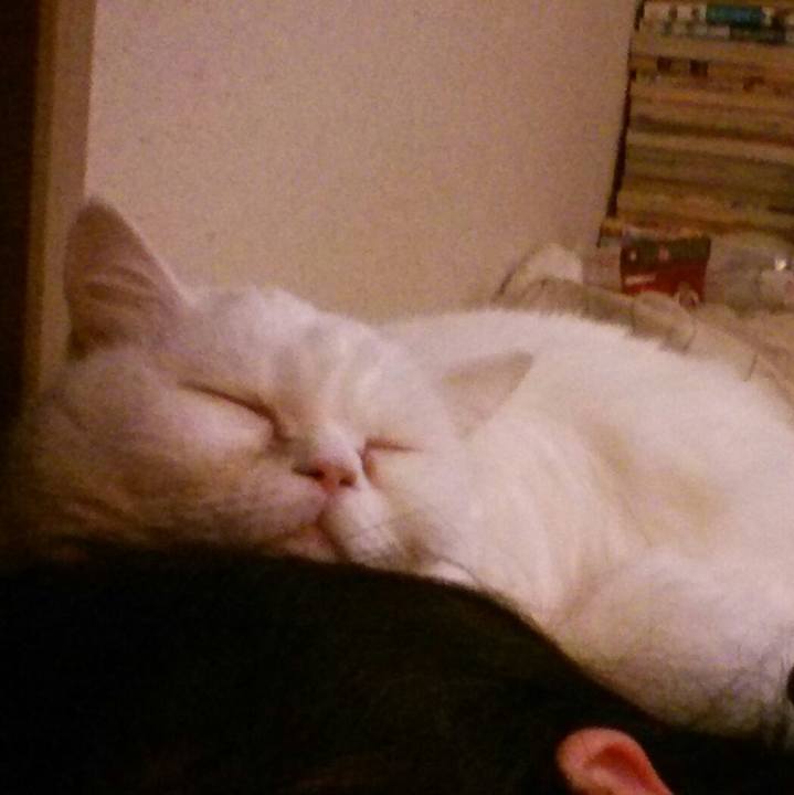 5f2c14ad 4252 4521 a127 d5c667f86e4a