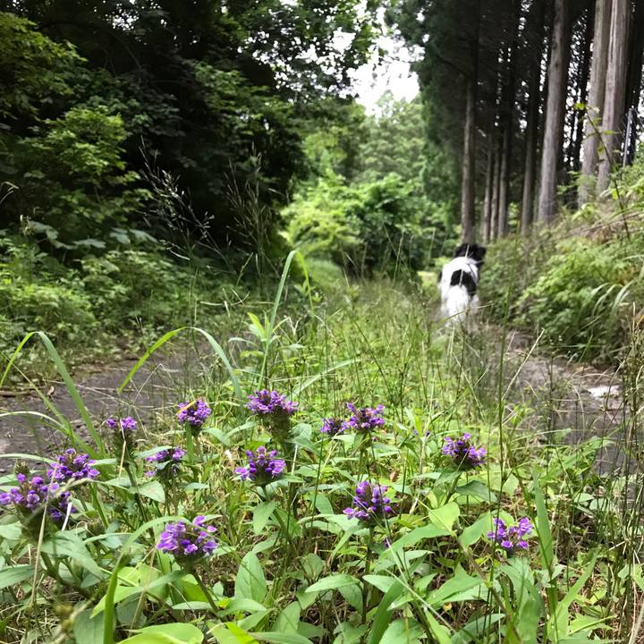 5f2caa45 10d6 43d3 ad70 ae01221ae1f8