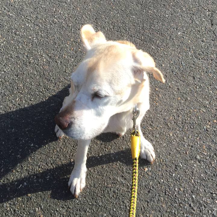 5f2d24b5 58cb 4134 8d19 ca05a16699f2