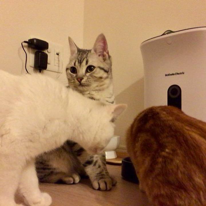 5f2d5e76 8d25 493d bb65 0dc054a1686d