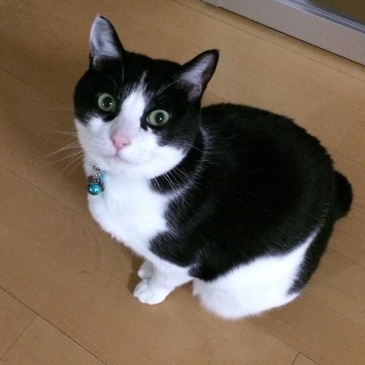 5f2d64bc 55ab 4e5e 8764 44fc15f7c153