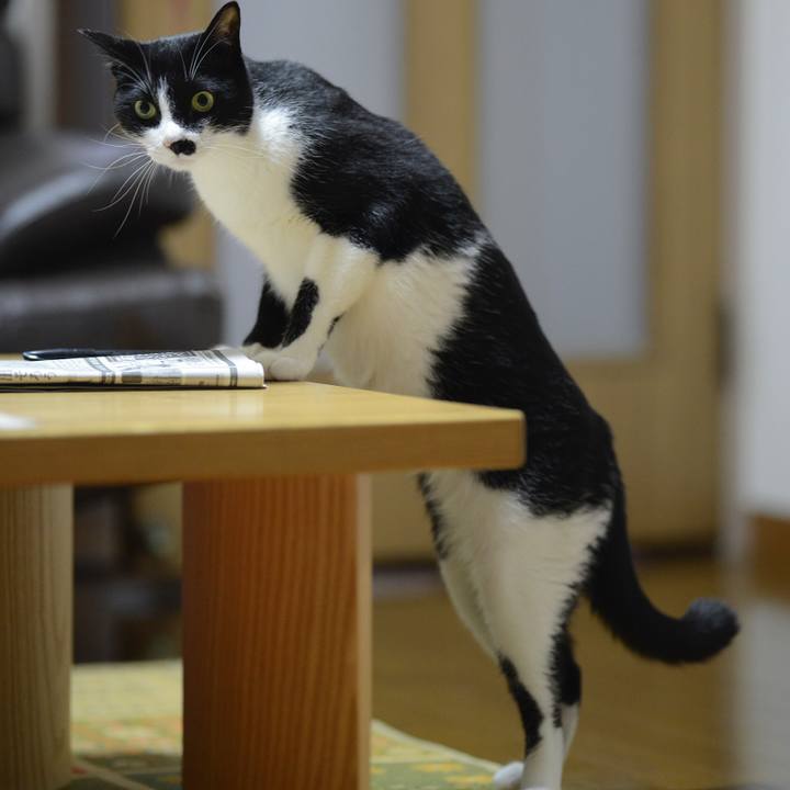 5f2d83ca eac5 46b8 9a49 13b0169d8f9d