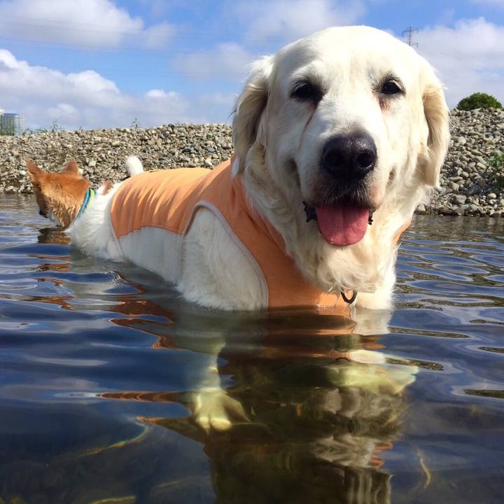 5f2f756f a5bf 4068 81fd 03d94642d4fc