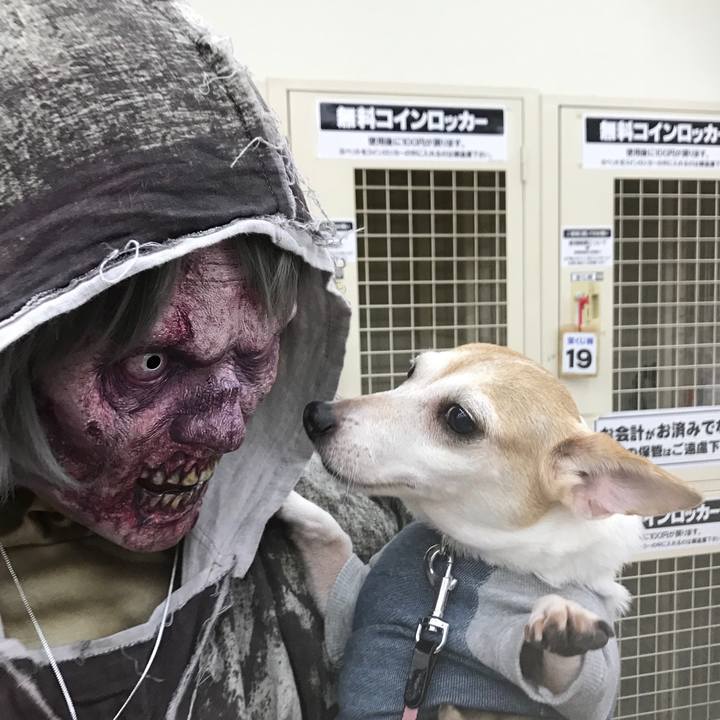 5f2fb2f1 4e69 4fd6 ad50 703a3954c042