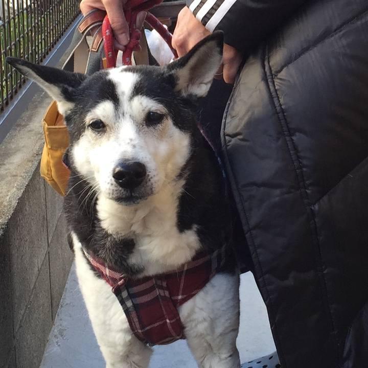 5f2fccc3 5cf4 4575 9012 6a514e8c3eb0