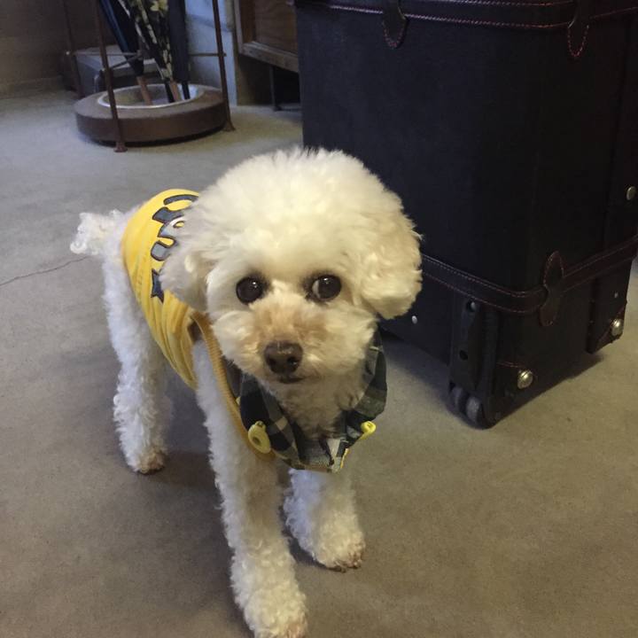 5f305102 f935 4014 97e0 30c6c2bd591f