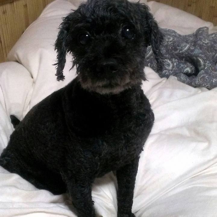 5f305187 6d7a 4ad1 8d98 86e138468ab8