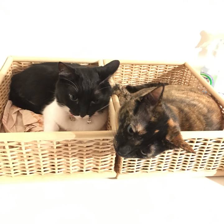 5f3085c1 a126 40da 9366 56f4ece0fb34