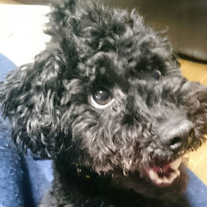 5f30a8a0 24ba 473d b3b7 6a7eb617d8fa