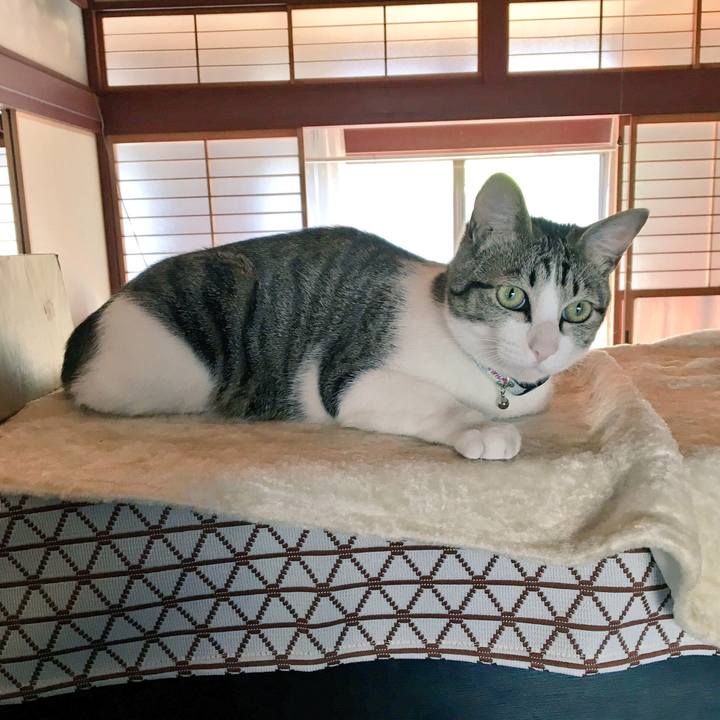 5f310f57 7d14 40ec b540 8805adb7ea36