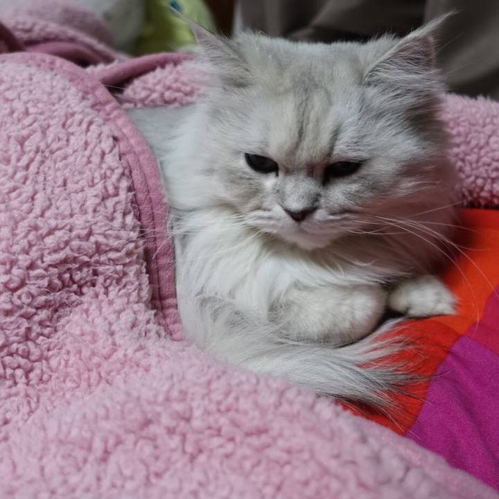 5f313548 baf8 4f42 9dd7 f34b95bf4b06