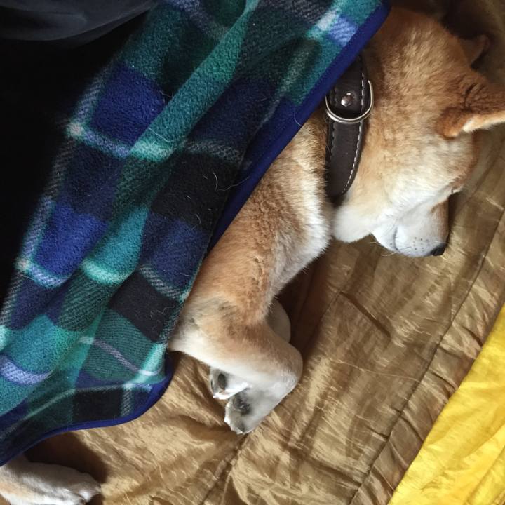 5f31f291 5682 4008 83ad 9fea2eb42217