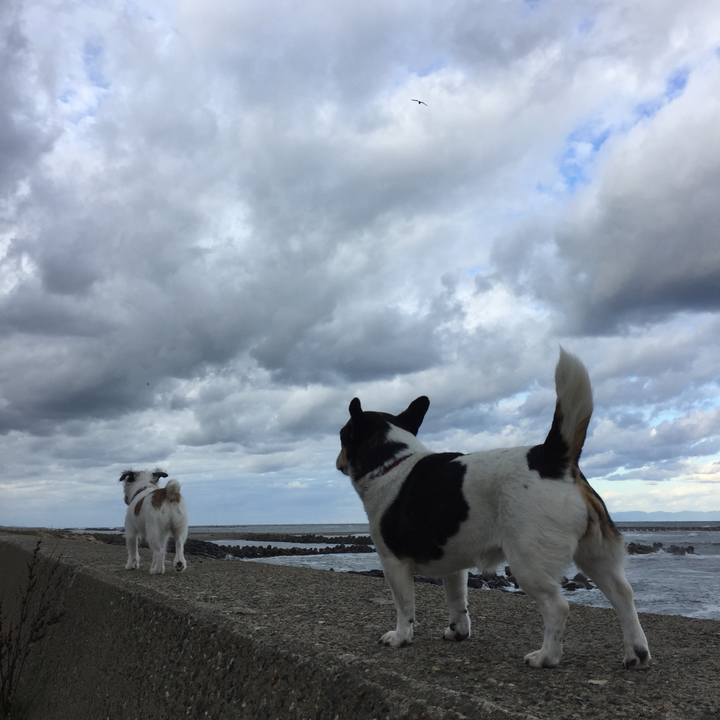 5f320659 8199 4025 81fd 993f1aab9d25