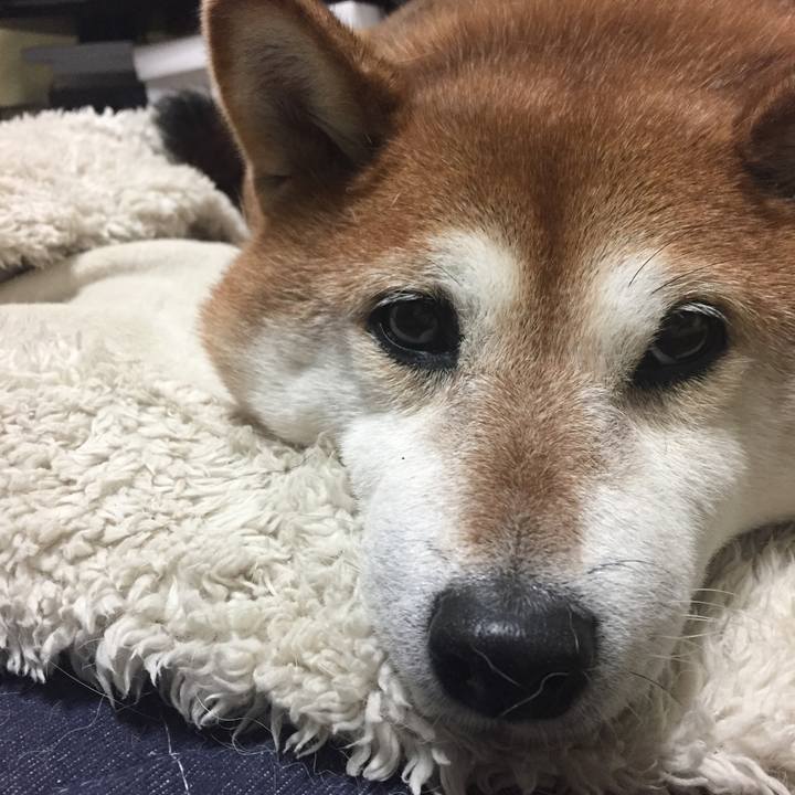 5f3241c7 0a40 41d3 8e8b 1e1f16ea807f