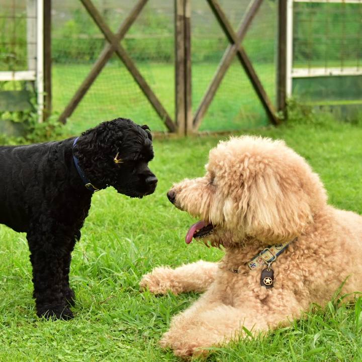 5f328e81 fa4d 459e a3f9 183e358b7f8c