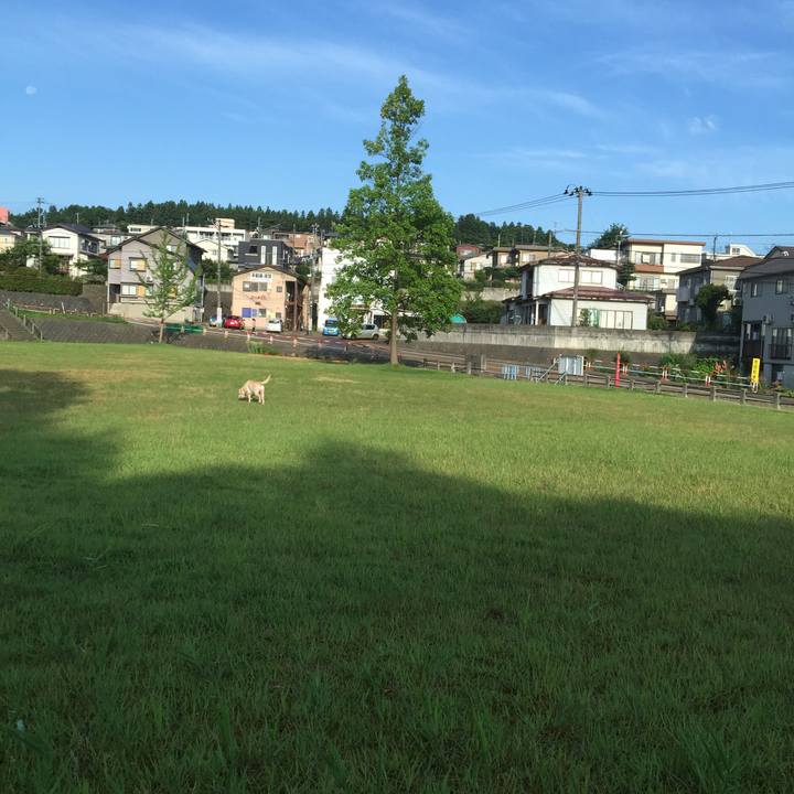 5f329d49 794d 42d4 bf1d ef0a9e6db830