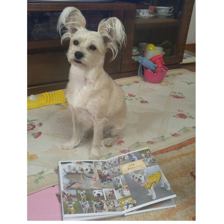 5f33407d 38cf 49e7 a75c a793effcd280