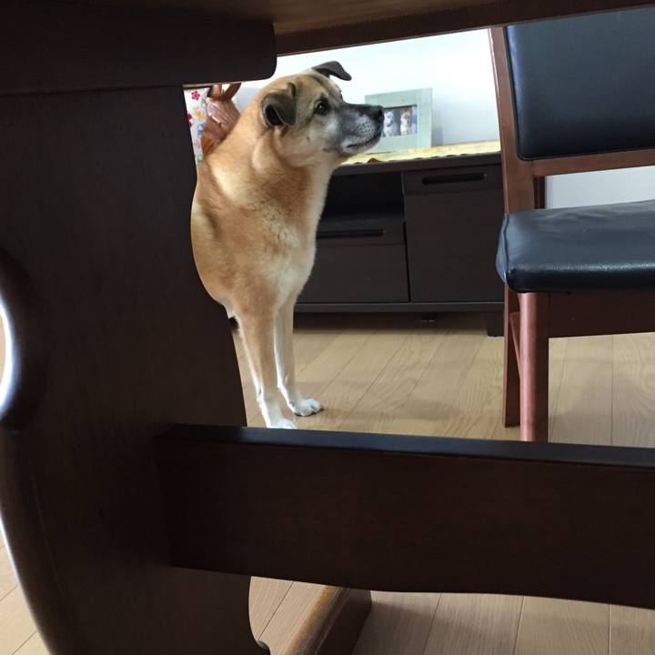 5f335c4d cec5 4154 a800 63f6e702b549