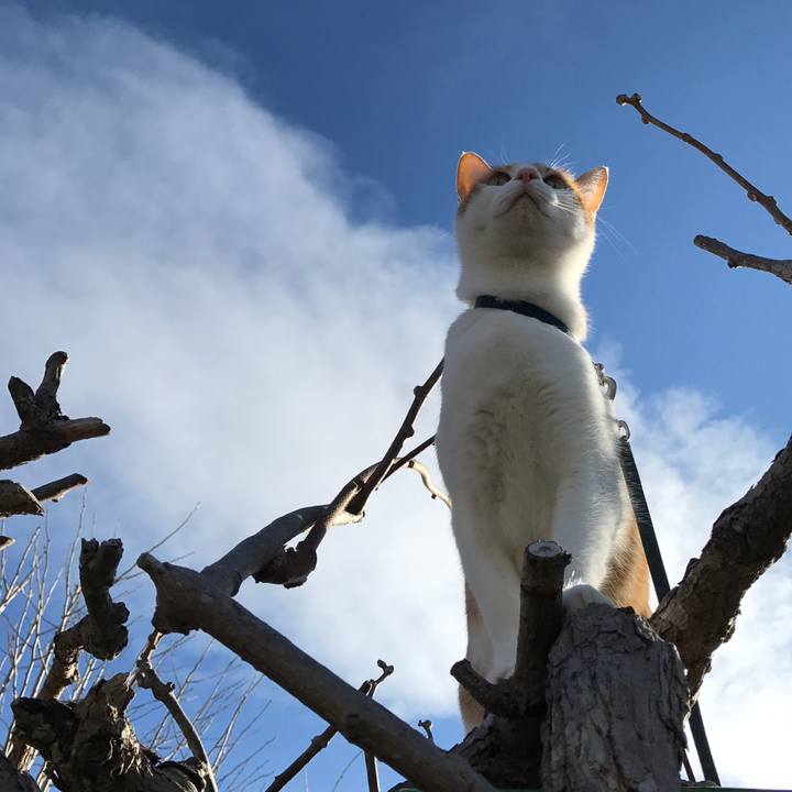 5f33c11c 0178 4da1 ab71 8e098777a227