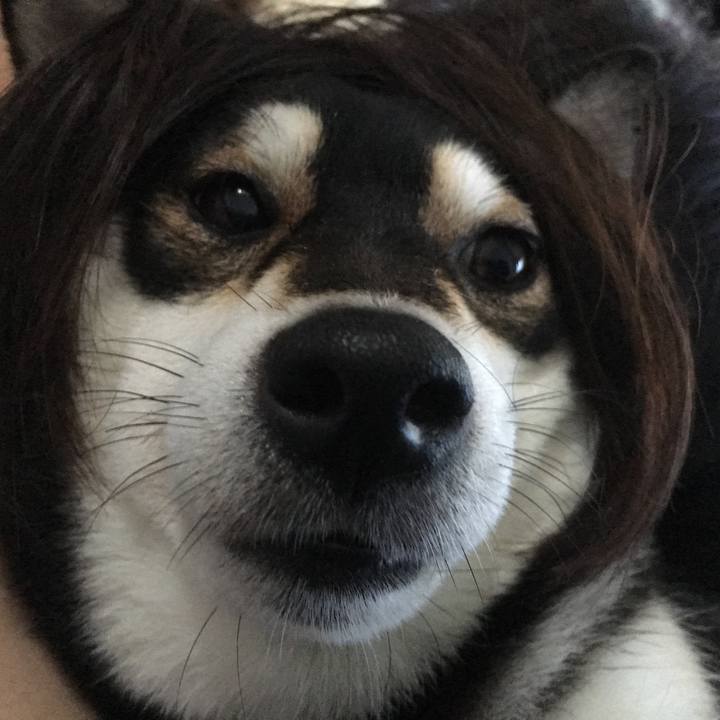 5f340cea b176 47ee 9fa5 5ba7179eb5e6