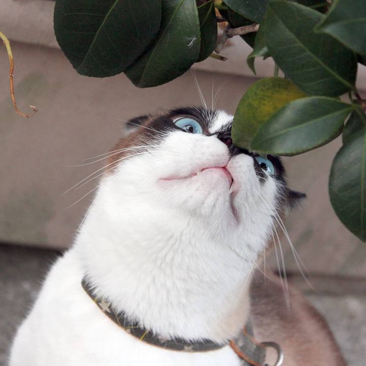 5f342eae ecd7 4c94 b037 5437be99ee45