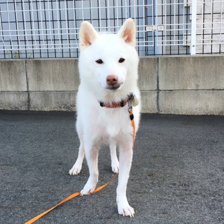 5f343f18 016b 4645 8cf3 aaedee18c3fe