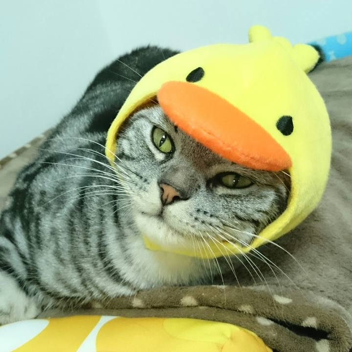 5f3467d5 6ca4 4d5e b197 d4bddae39b8e